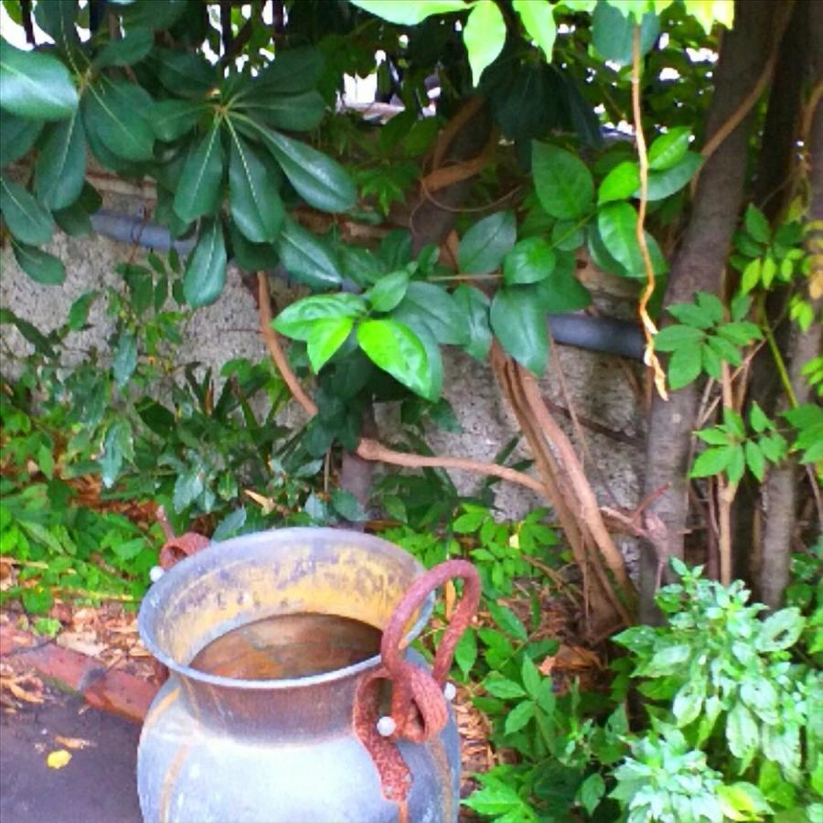 Апартаменти Un Giardino A Due Passi Dal Mare Ла-Спеція Екстер'єр фото